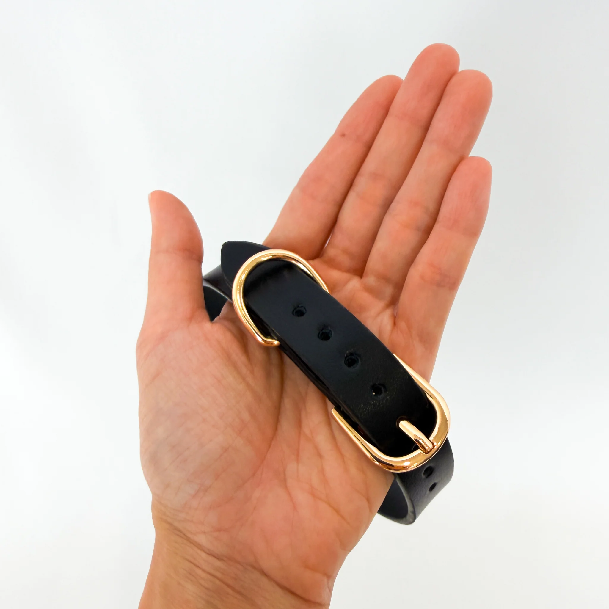 Hedonist Luxe Leather Bondage Collar and Leash - Image 3