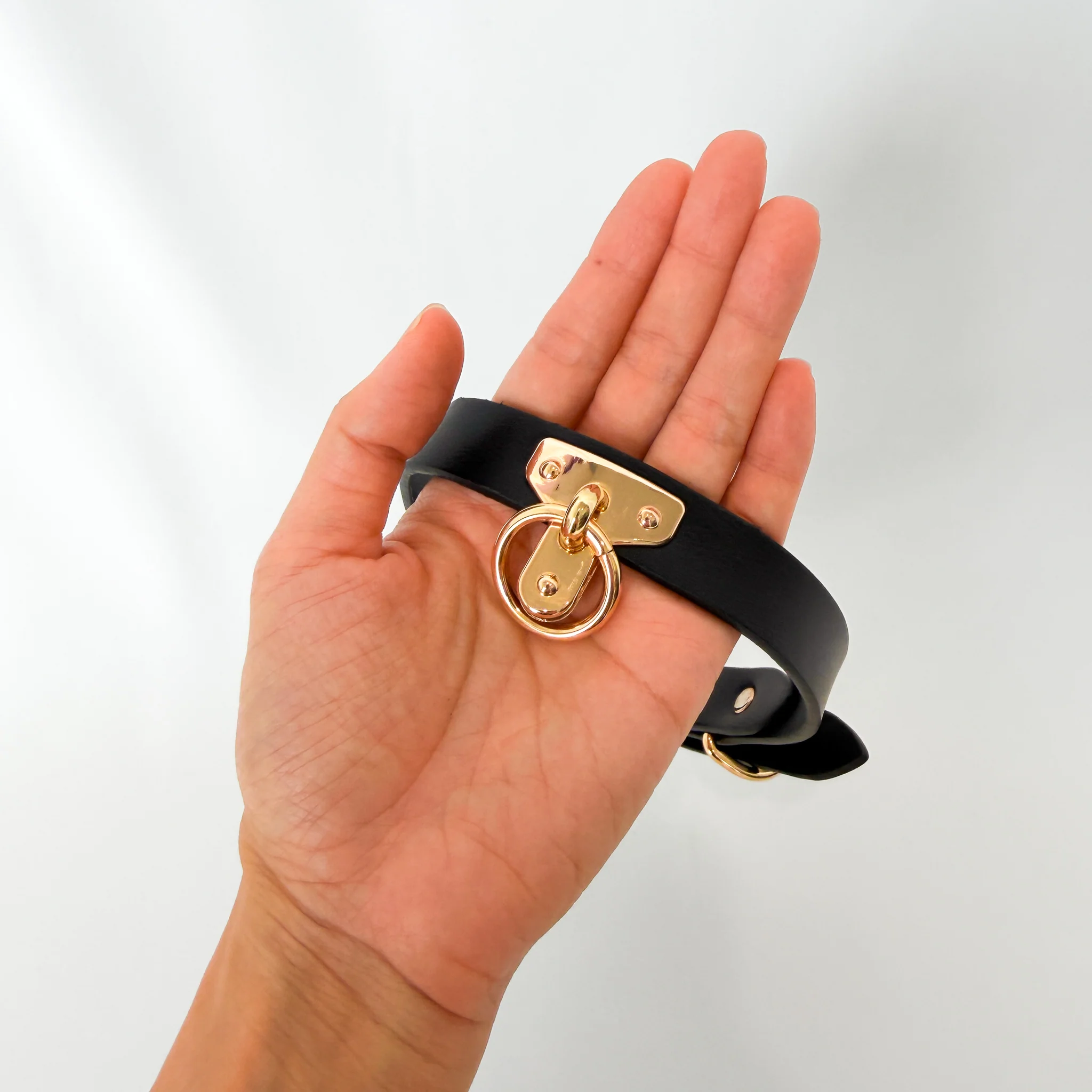 Hedonist Luxe Leather Bondage Collar and Leash - Image 4